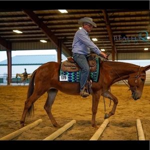 Meet your Posher, Rob